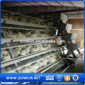 Chicken use and chicken cage type cheap automatic drinker for chickens